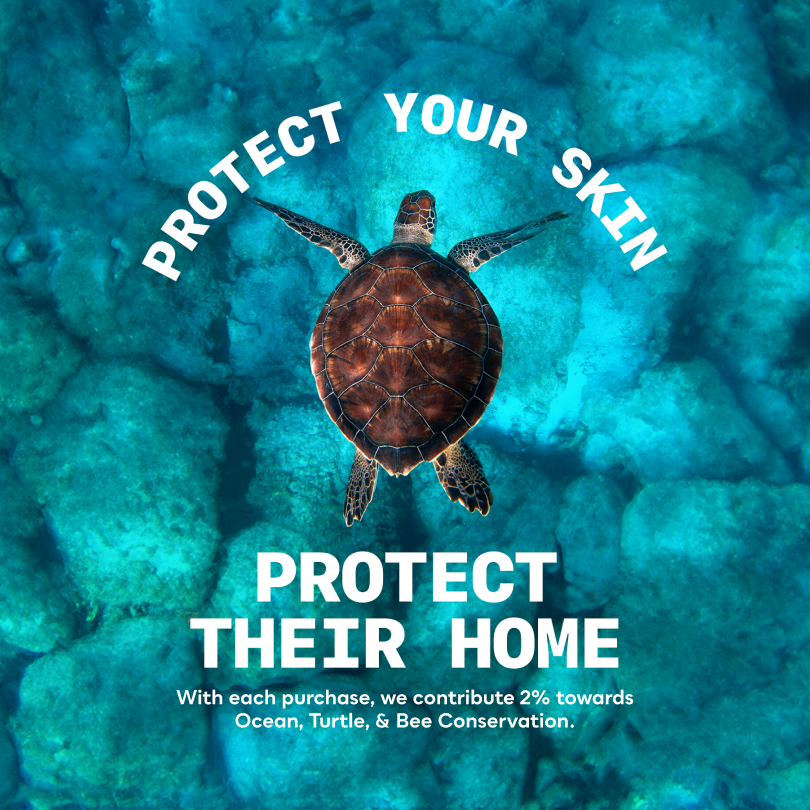 Shield & Soothe Set: Sunscreen + Rosemary Body Lotion