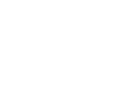 Turtle&Snail.Co