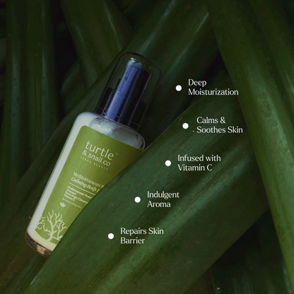 Shield &amp; Soothe Set: Sunscreen + Rosemary Body Lotion